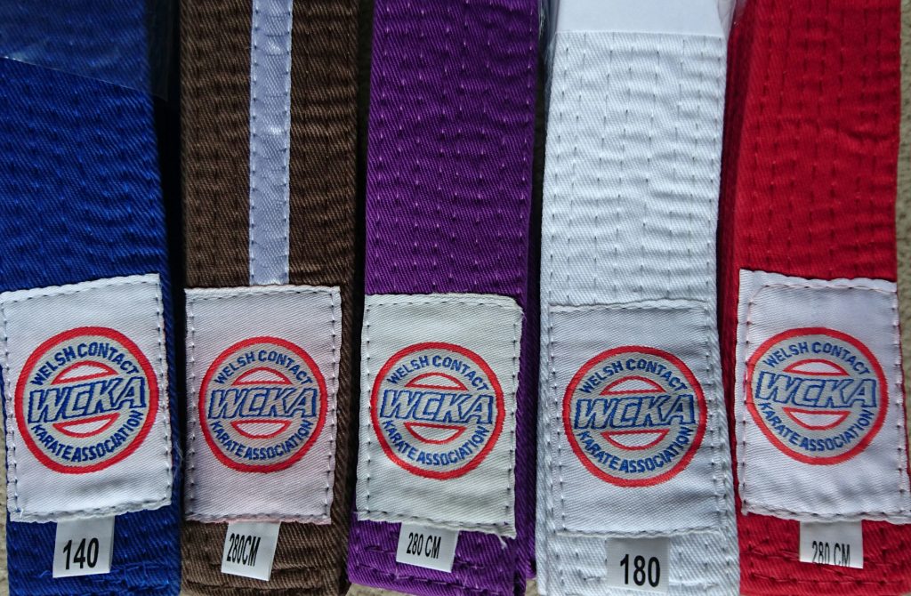 WCKA Kids Zone Belts WCKA Kickboxing